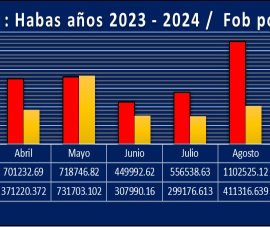 Export - Habas 2023 -2024